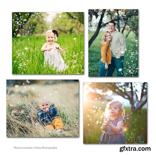 8 Dandelion Overlays