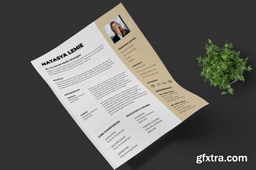 Business CV Resume Template Pro