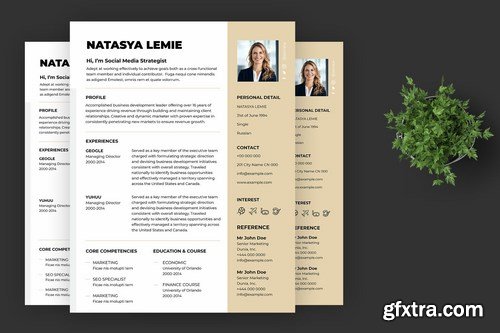 Business CV Resume Template Pro