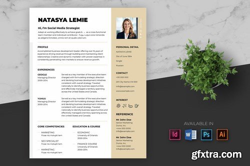 Business CV Resume Template Pro