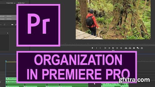 5 Tips to Get Organized in Premiere Pro for Beginners: Organize and Customize in Premiere Pro