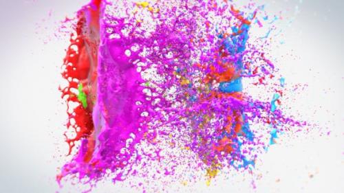 Udemy - Colorful Splash Logo