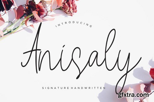 Anisaly Script Font