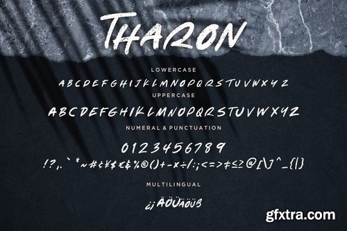 Tharon Brush Style Font