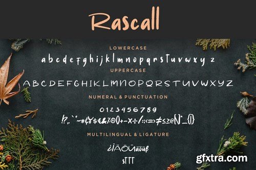 Rascall Brush Sans Font