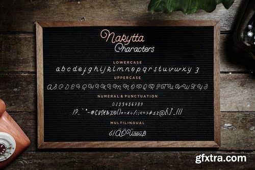 Nakytta Monoline Script