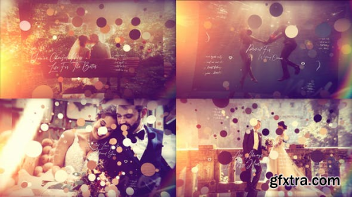 VideoHive Brush Particle  Wedding Slideshow 24411057