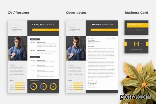 Esigns - Business Clean Resume CV Set