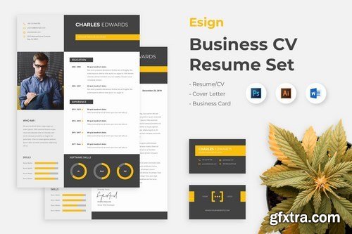 Esigns - Business Clean Resume CV Set