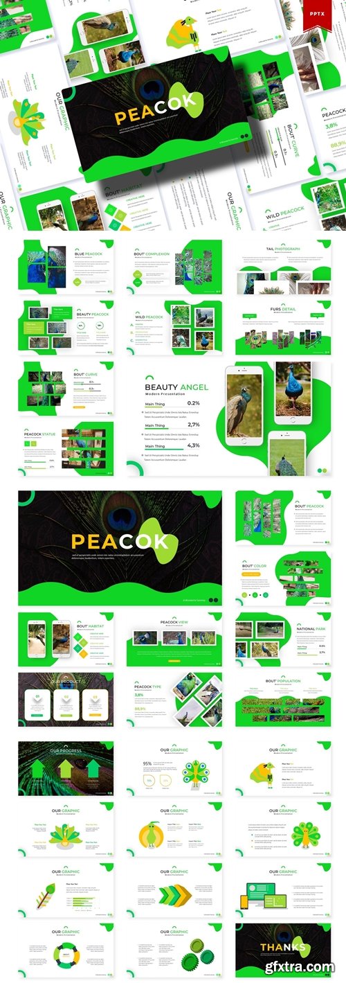 Peacok Powerpoint, Keynote and Google Slides Templates