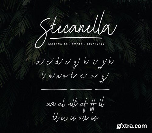 Stecanella - Script Font