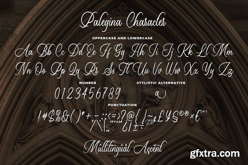 Palegina - Calligraphy Typeface