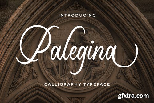 Palegina - Calligraphy Typeface