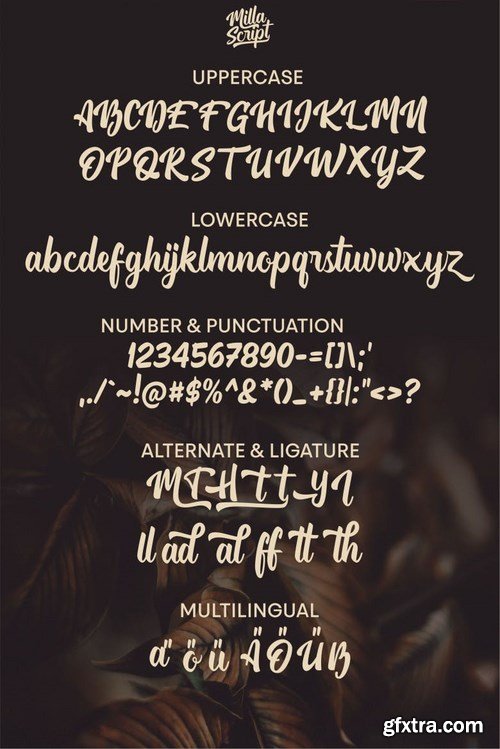 Milla - Script Font