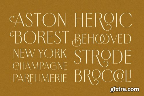 CM - Borest - Elegant Roman Sans Serif 4064411