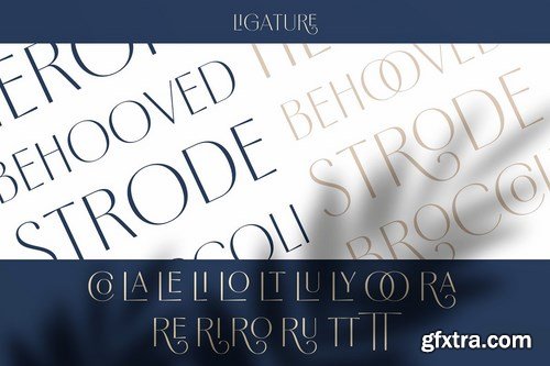 CM - Borest - Elegant Roman Sans Serif 4064411