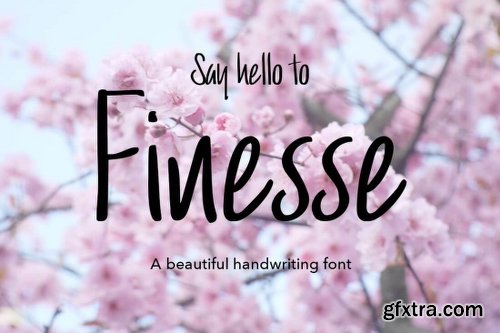 MightyDeals Fabulous Fonts From Brush Lettered to Calligraphy