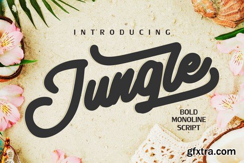 Jungle Monoline Bold Script