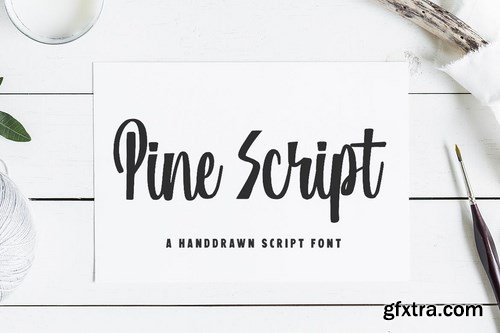 Pine Script Font