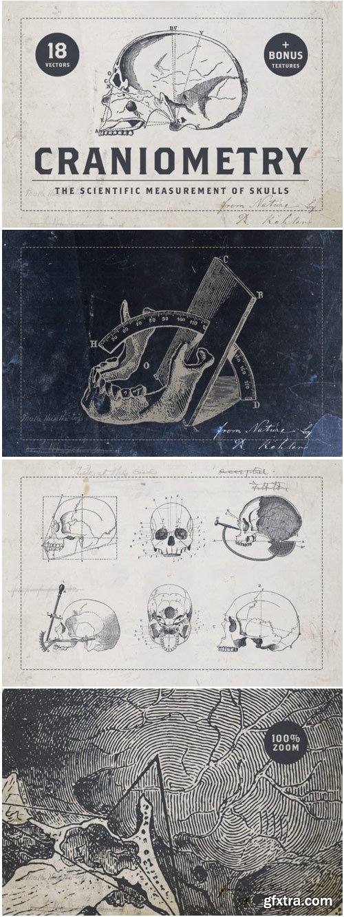 Craniometry 1761160