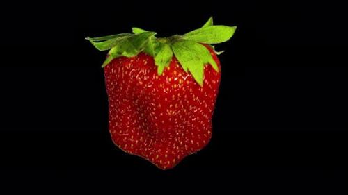 Udemy - Rotating Isolated Strawberry