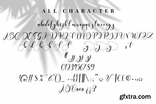 Daytone Stylist Script Font