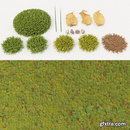 Moss 3d Models Collection