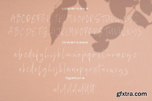 Mellisya Signature Font