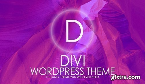 Divi v3.28 - WordPress Theme - ElegantThem + Divi Plugins + Divi Layout + Divi PSD Files