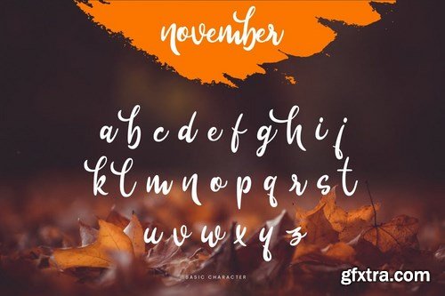 November - Beauty Signature Script