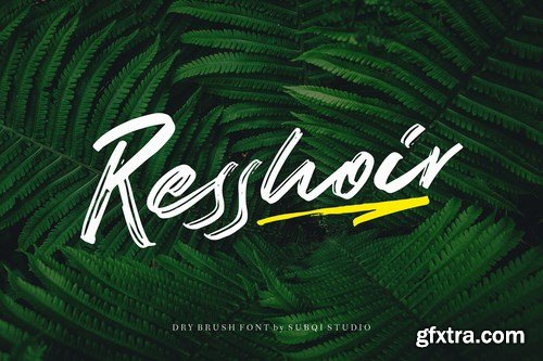 Resshoir Font