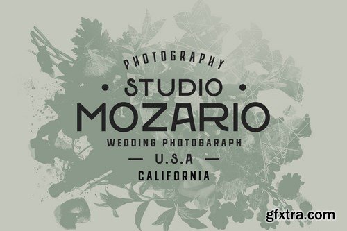 Wedding Font Pairing Font