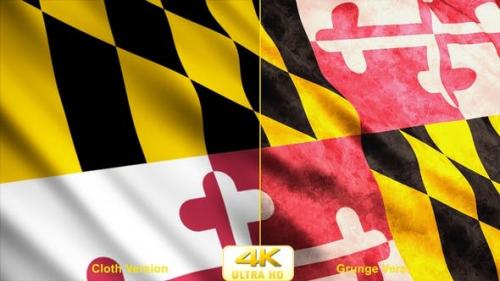 Udemy - Maryland State Flags