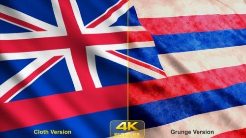 Udemy - Hawaii State Flags