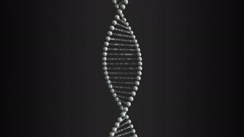 Udemy - Spinning DNA Molecule Model with Numbers