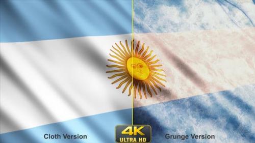 Udemy - Argentina Flags