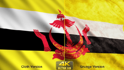 Udemy - Brunei Flags