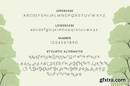 CM - Molga font 4107325