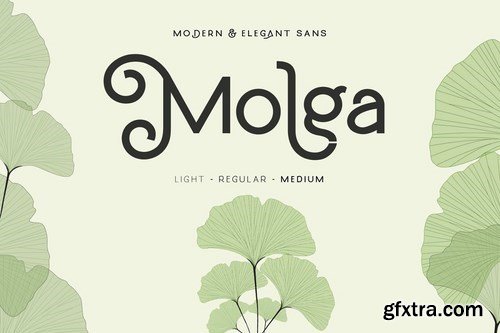 CM - Molga font 4107325