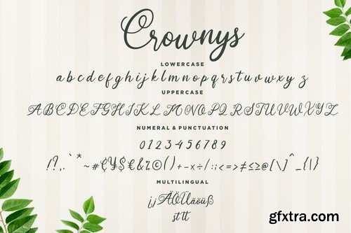 Crownys Calligraphy Script