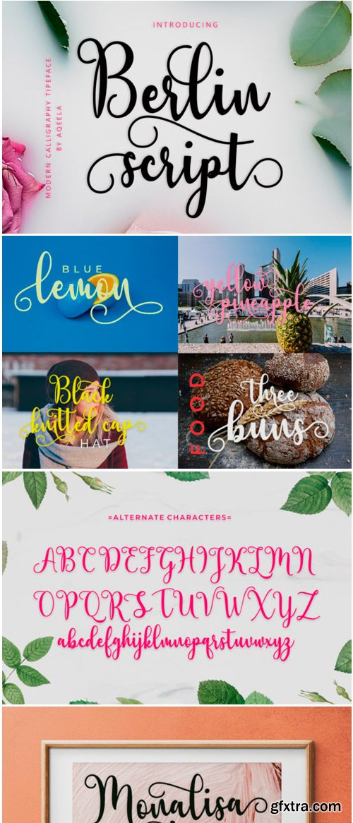 Berlin Script Font