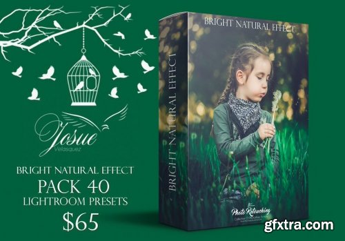 Inkydeals 700 Amazing Lightroom Presets Bundle