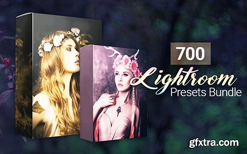 Inkydeals 700 Amazing Lightroom Presets Bundle