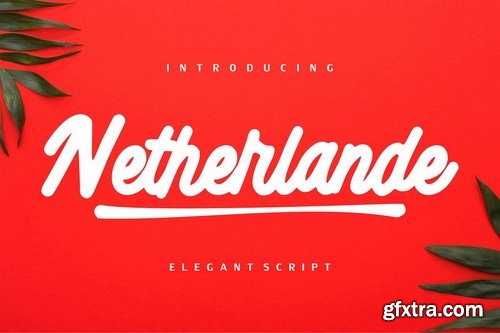 CM - Netherlande - Elegant Script 4119593