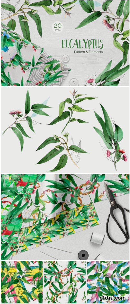 Eucalyptus Branch Watercolor Png 1777809