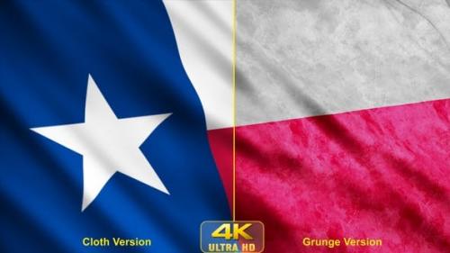 Udemy - Texas State Flags