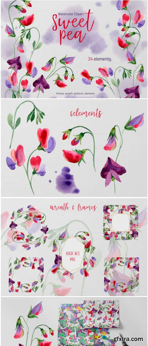 Watercolor Flowers Sweet Pea PNG 1777821