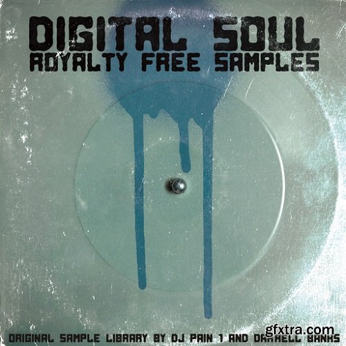 DJ Pain 1 Digital Soul Volume 1 WAV