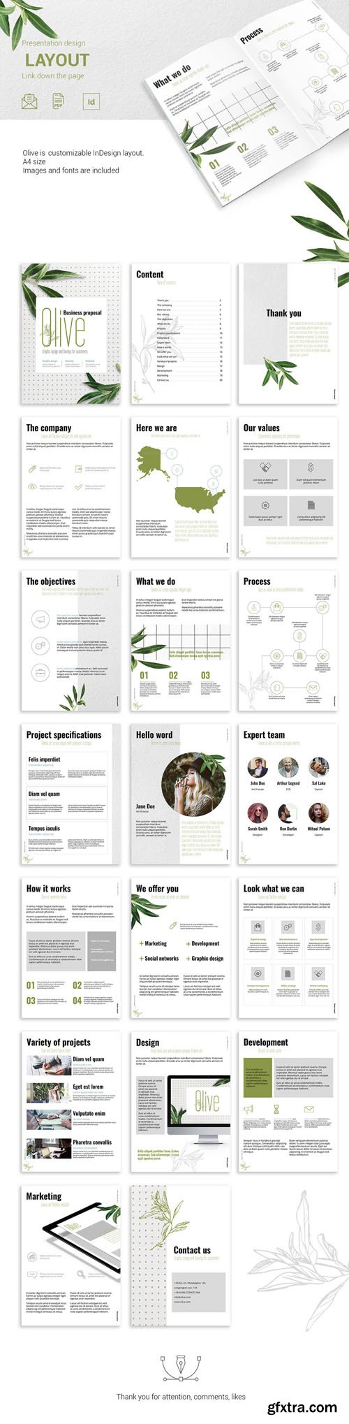 A4 Olive Presentation - Customizable inDesign Layout