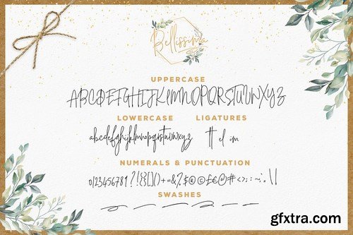 CM - Bellissima Signature Script Font 4117901